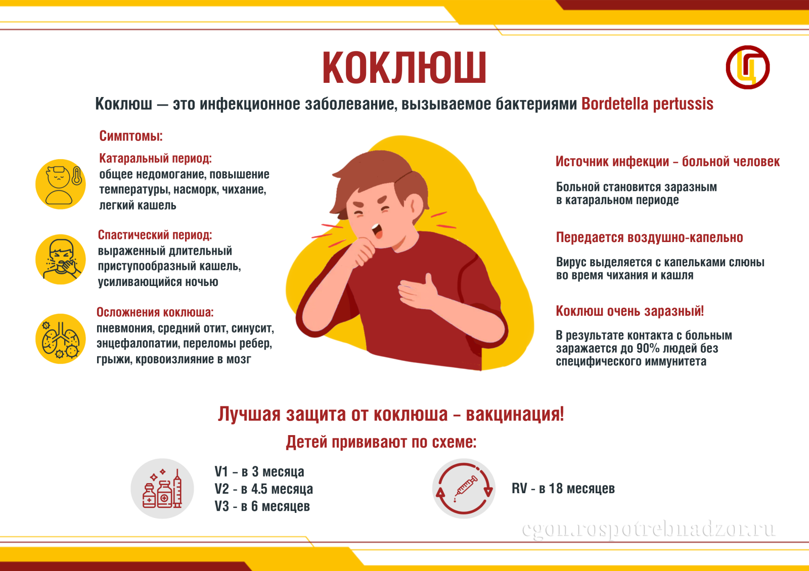 Изображение: «Профилактика коклюша»